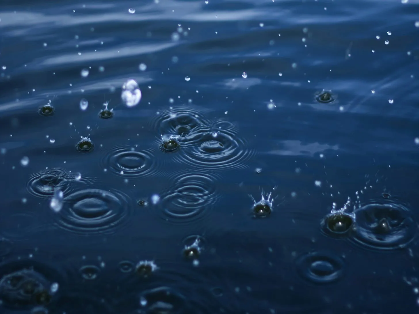 Rain droplets striking dark water, overlapping ripples spreading across the surface.